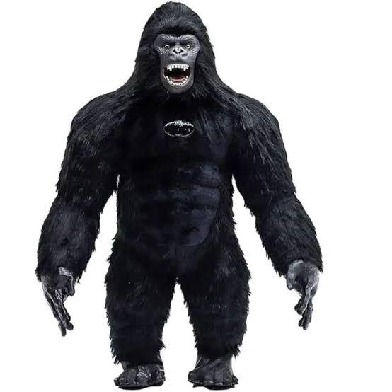Black gorilla costume used for wedding entry performance