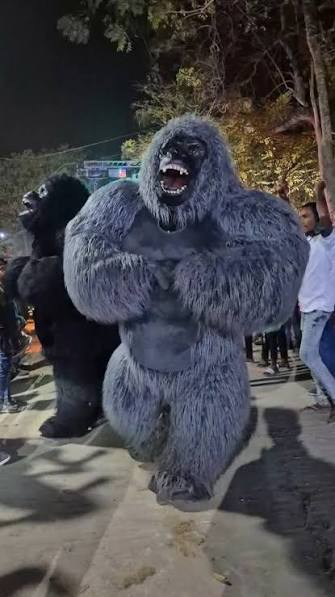 Gorilla dance performer at a wedding event